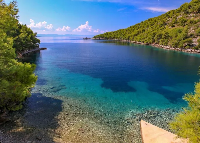 Robinson Jela Bogomolje