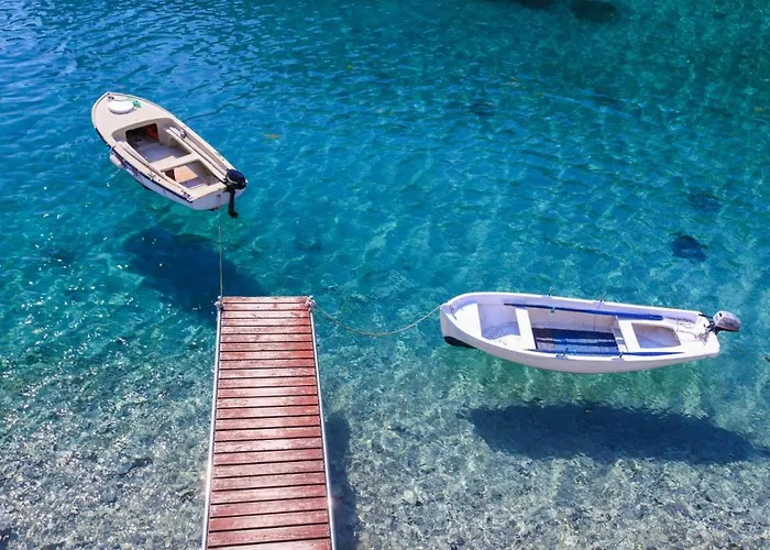 Robinson Jela Bogomolje