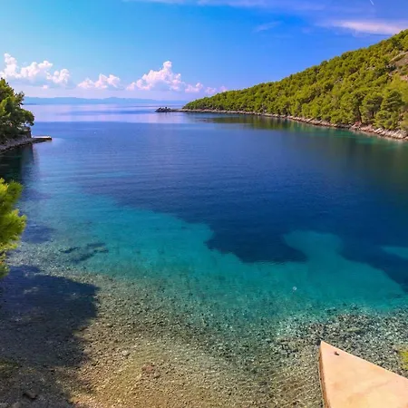 Robinson Jela Bogomolje